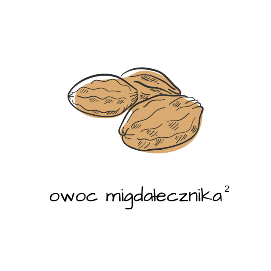 Owoc migdałecznika