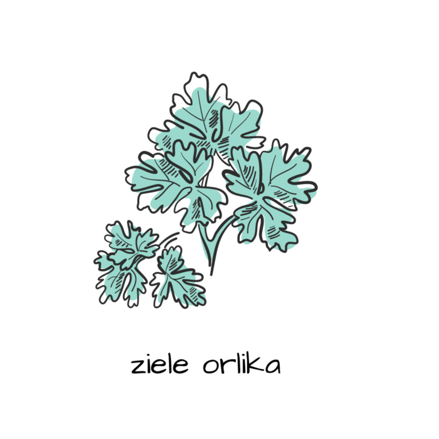 Ziele orlika