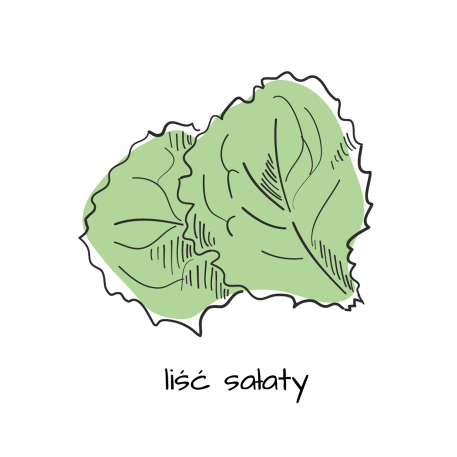 Liść sałaty