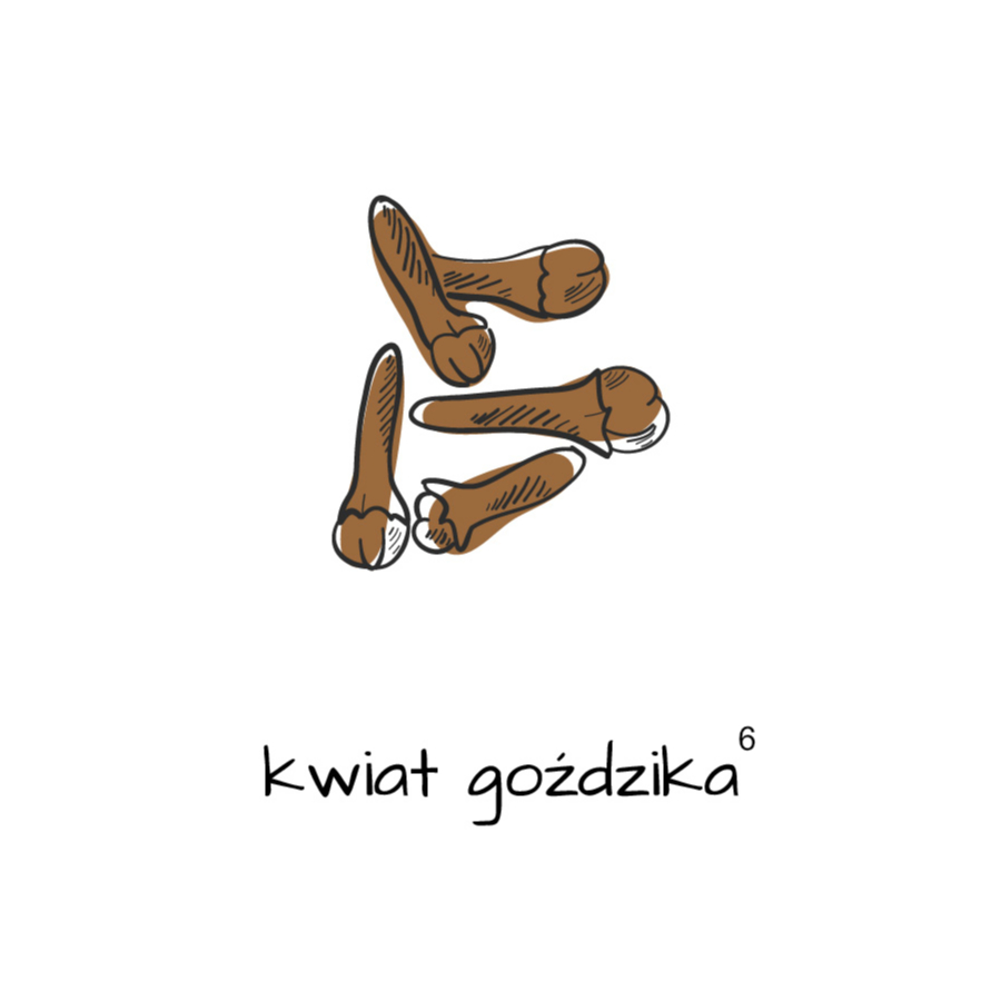 Kwiat goździka