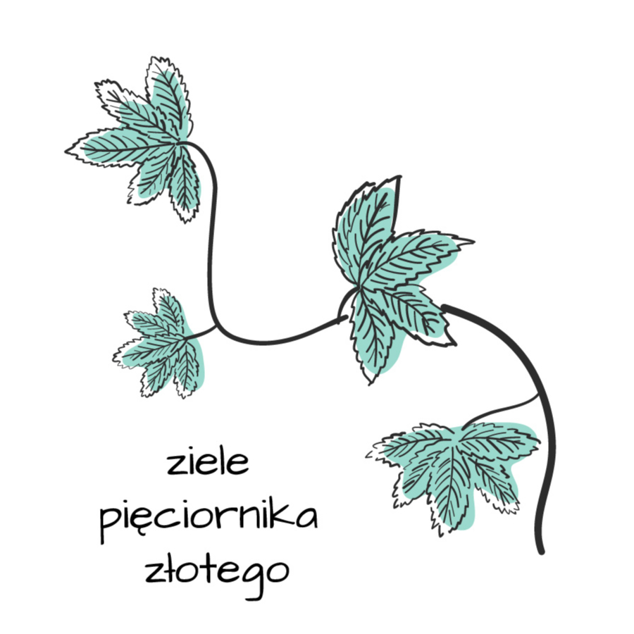 Ziele pięciornika złotego